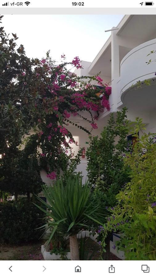 Danae Hotel Faliraki Exterior foto